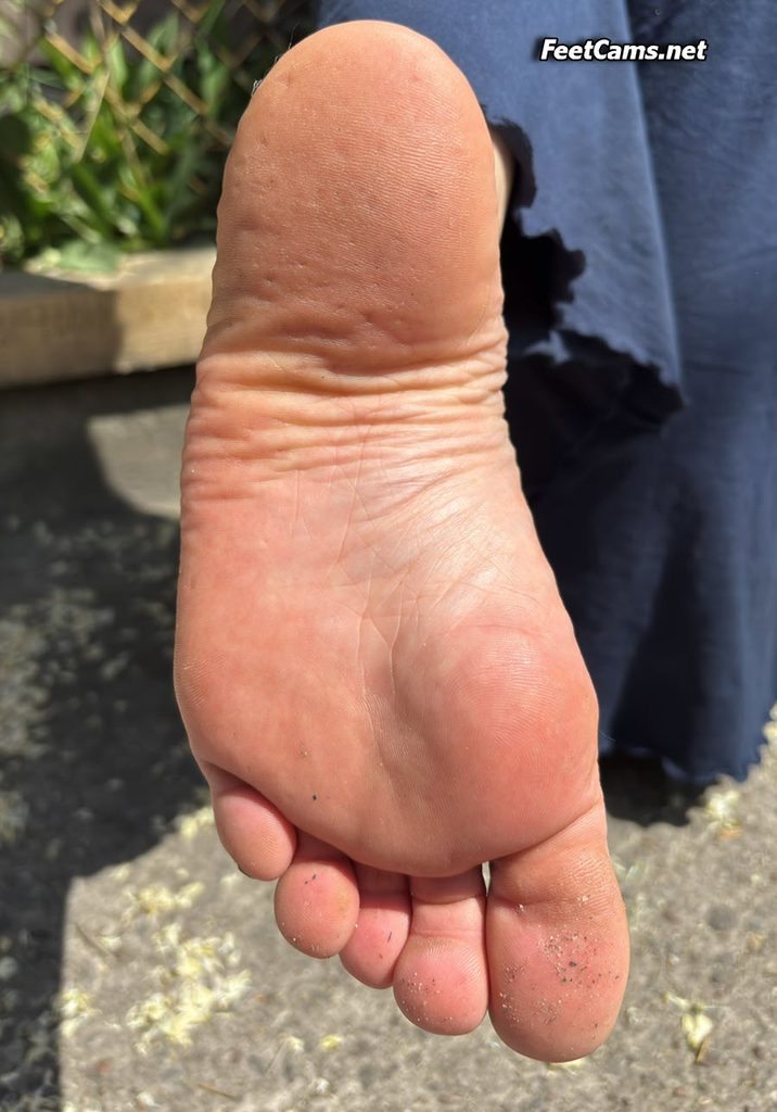 Beautiful Bare Feet and Sexy Feet FeetCams.net BareFeetCams.net
